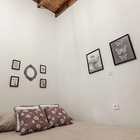 Carlo House * Вивари
